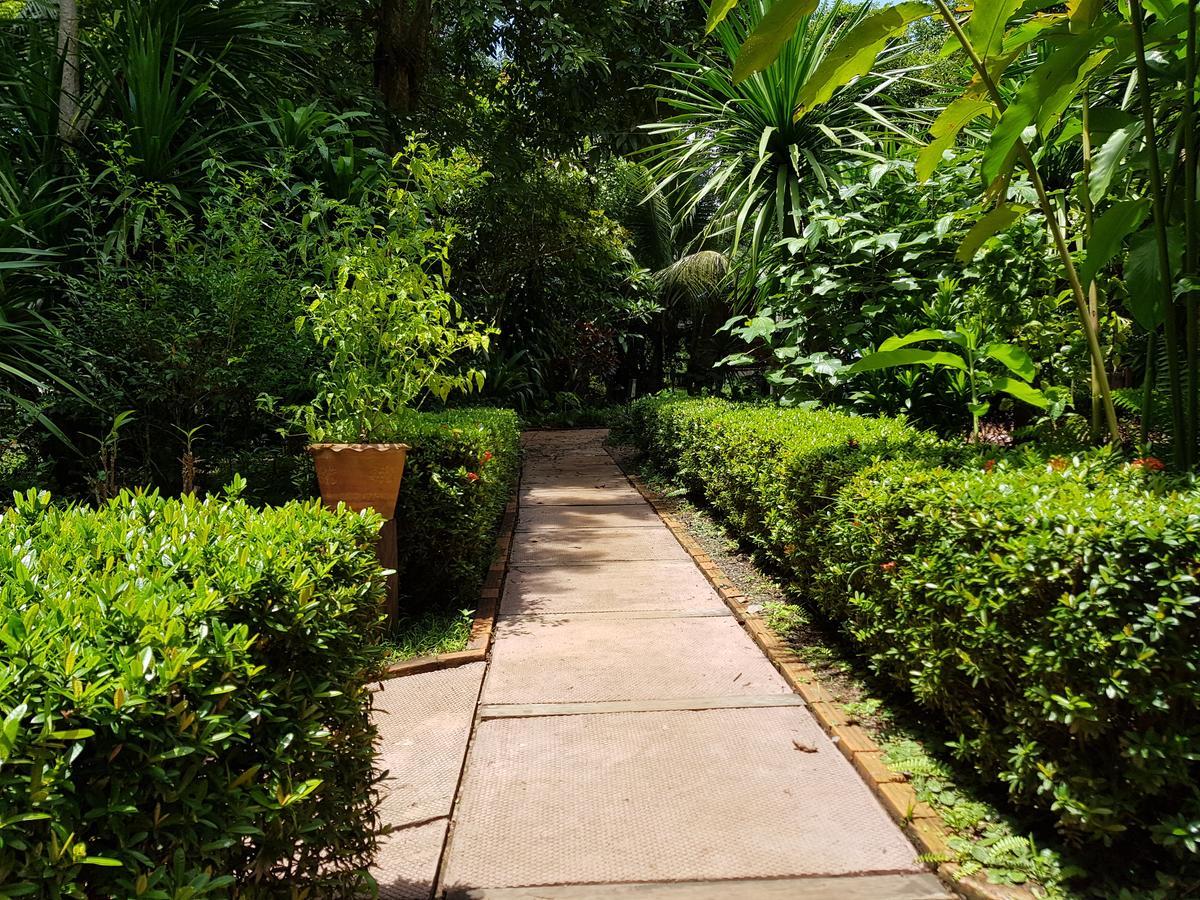 Kingfisher Ecolodge Ban Kian-Ngong Luaran gambar