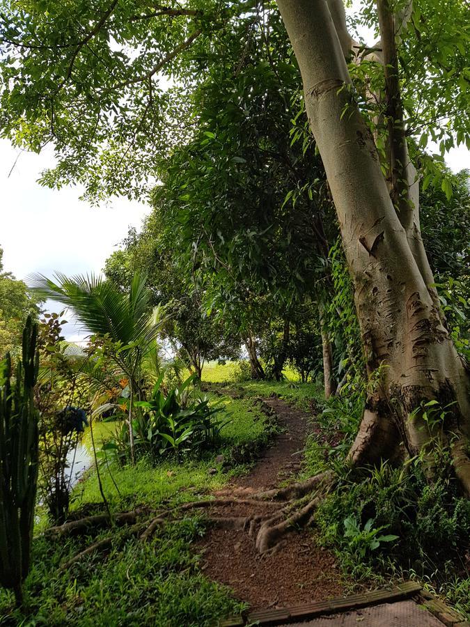 Kingfisher Ecolodge Ban Kian-Ngong Luaran gambar